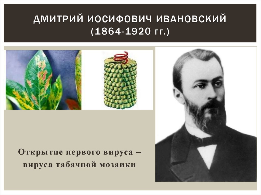 Дмитрий Иосифович Ивановский (1864-1920 гг.)