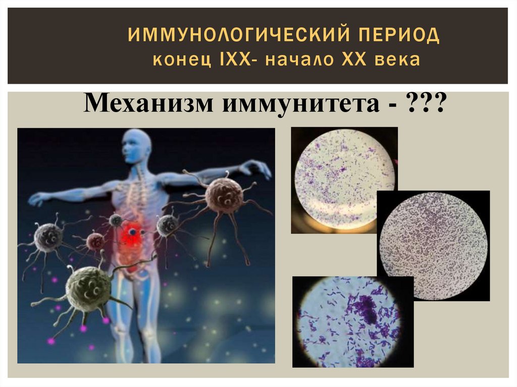 Иммунологический период конец IXX- начало XX века