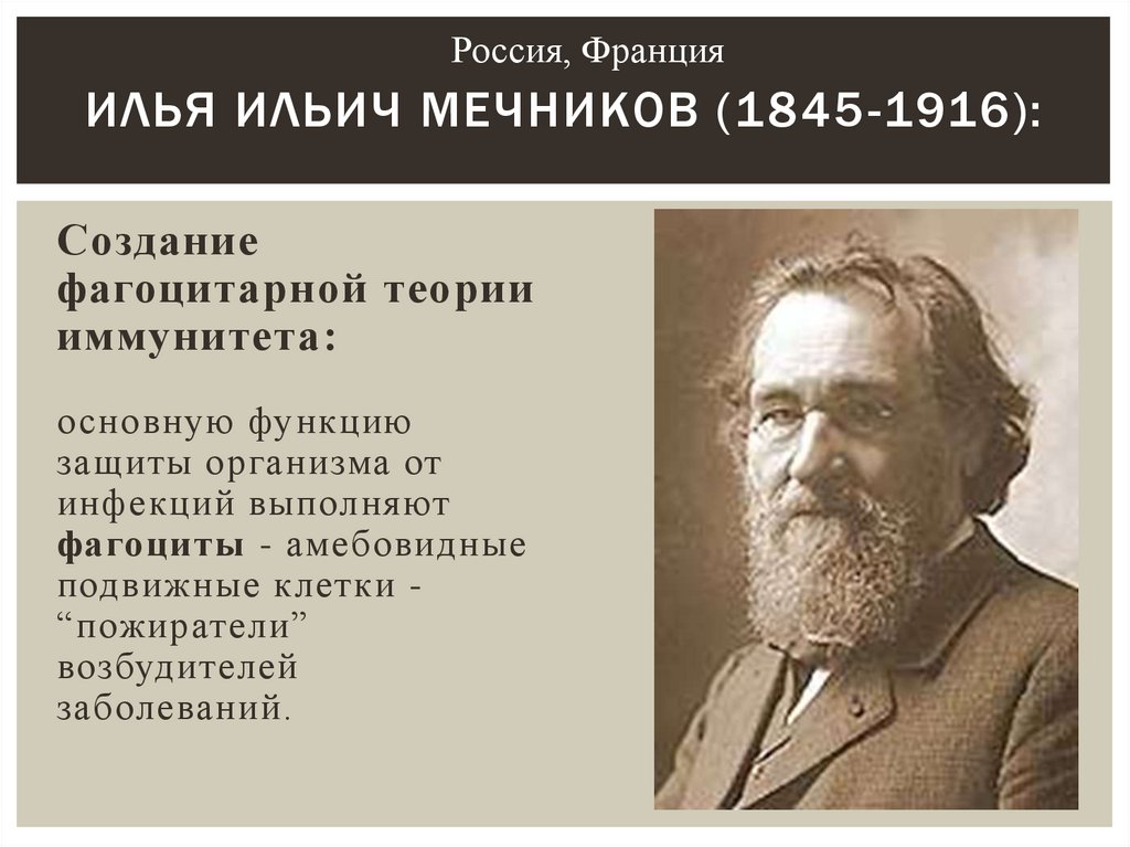 Илья Ильич Мечников (1845-1916):