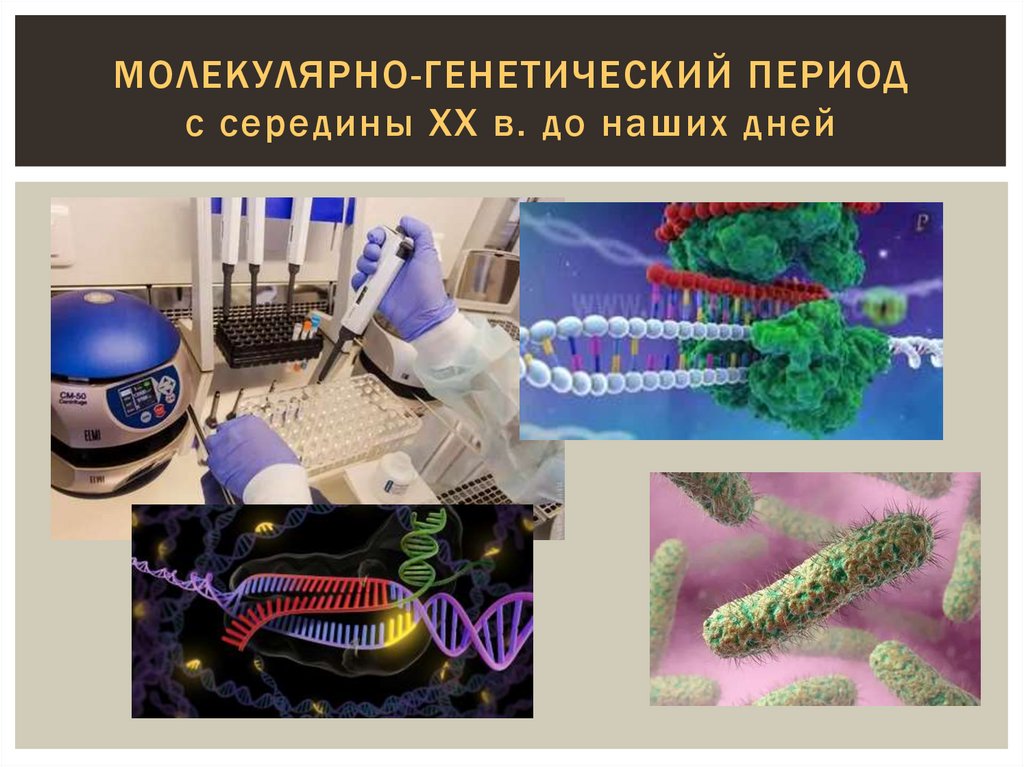 молекулярно-генетический период с середины XX в. до наших дней