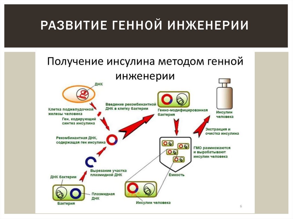 развитие генной инженерии