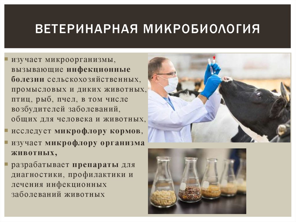 ветеринарная микробиология