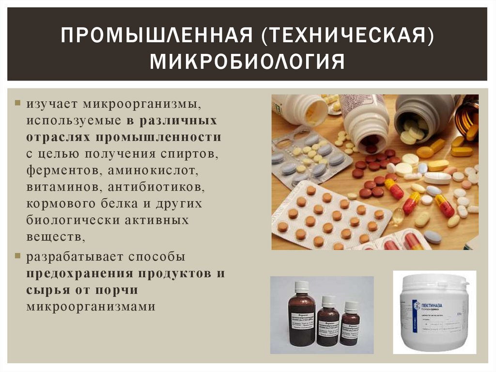 промышленная (техническая) микробиология