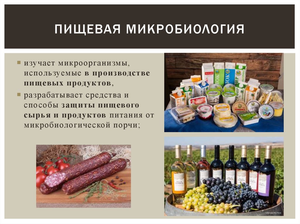 пищевая микробиология