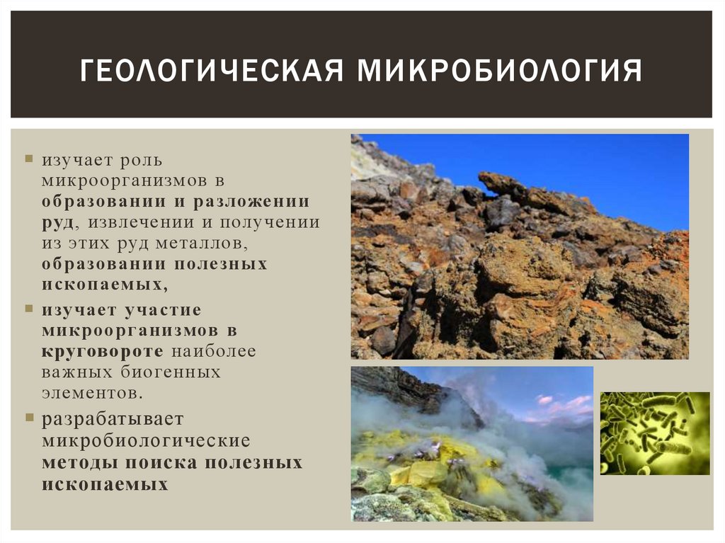 геологическая микробиология