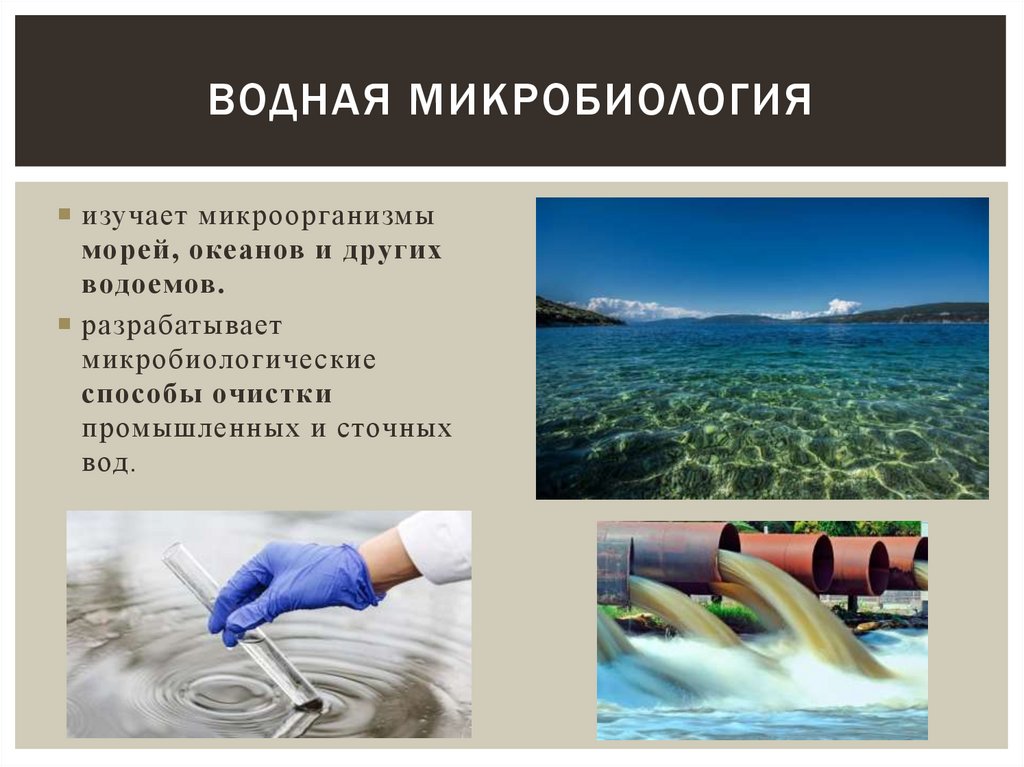 Водная микробиология