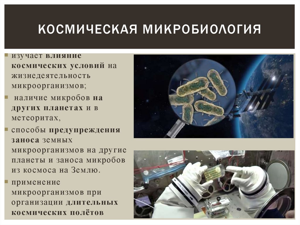 космическая микробиология