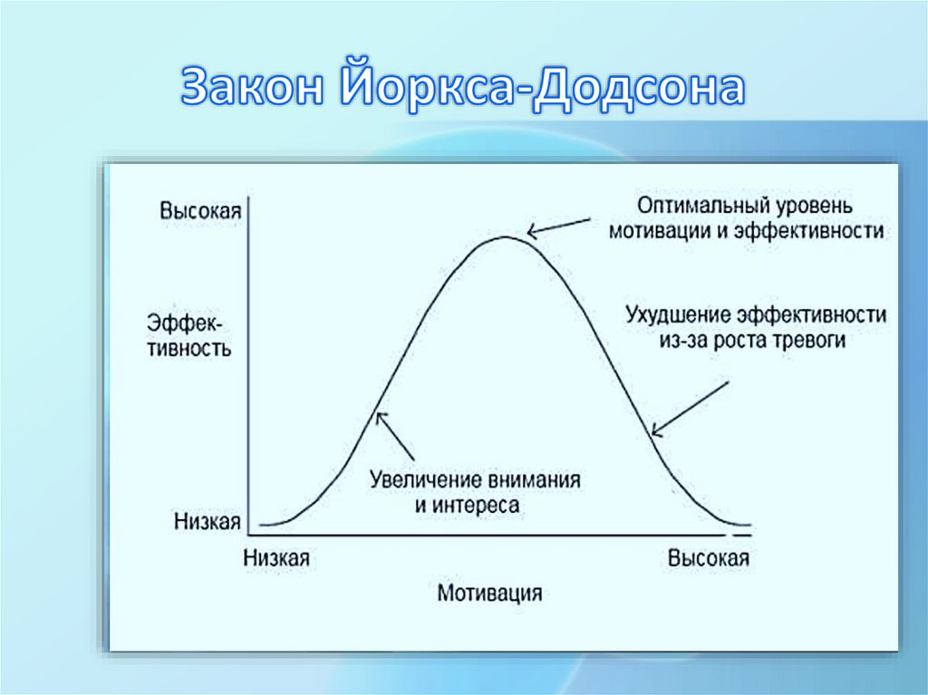 Закон Йоркса-Додсона