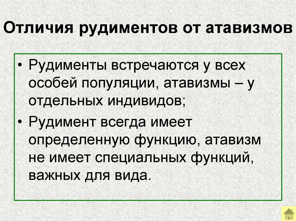 Отличия рудиментов от атавизмов