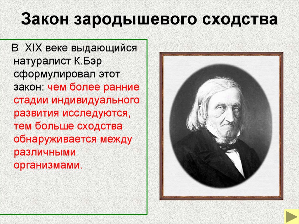 Закон зародышевого сходства