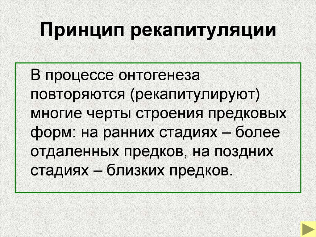 Принцип рекапитуляции
