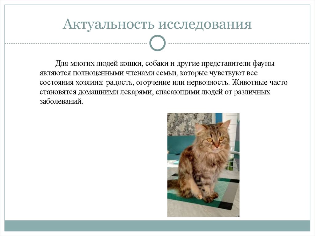 Актуальность исследования