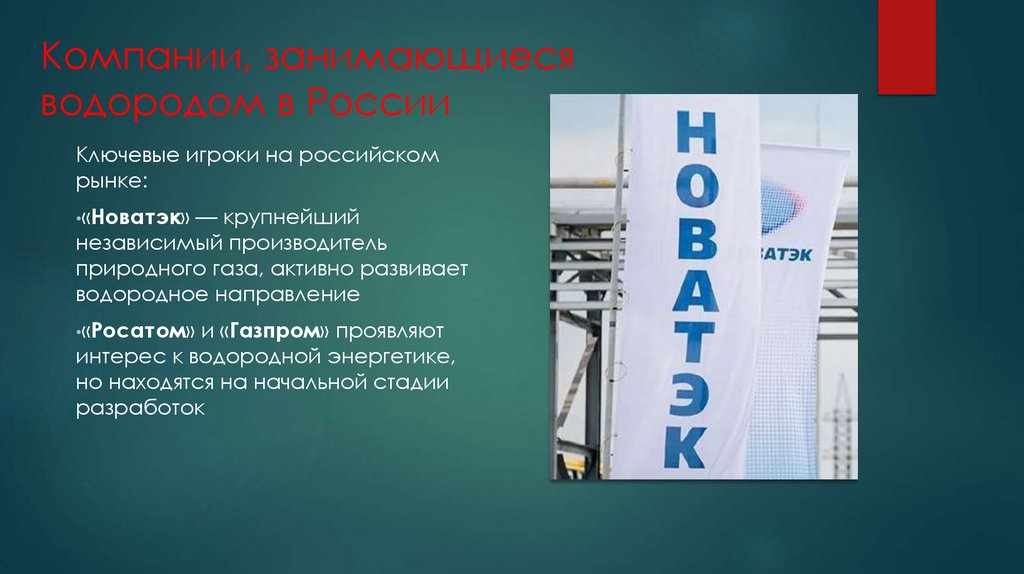 Компании, занимающиеся водородом в России