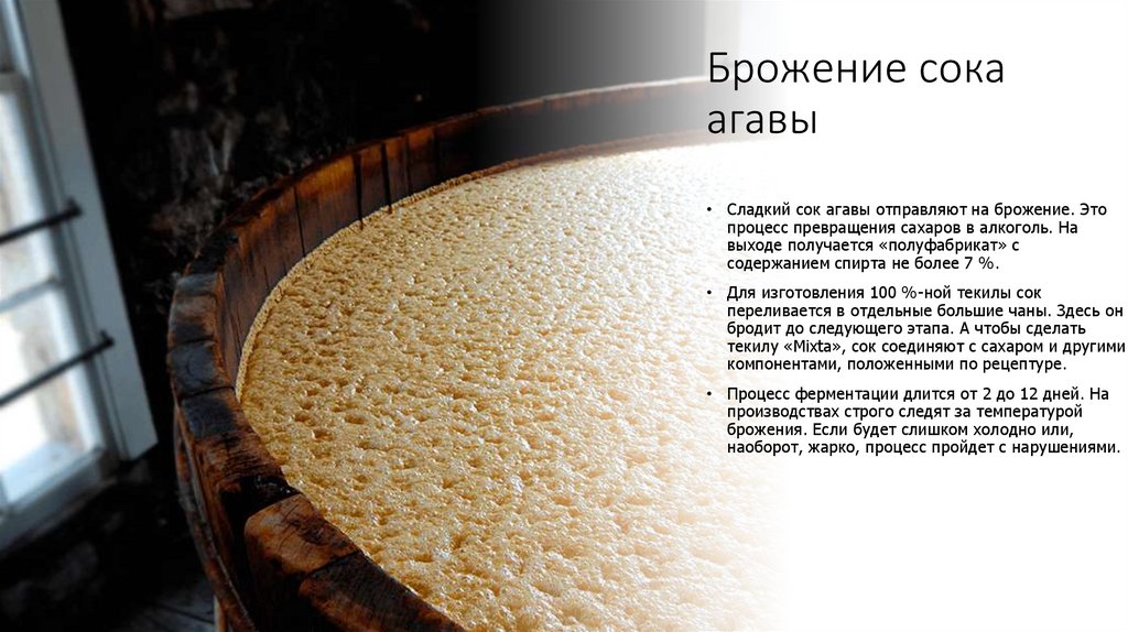 Брожение сока агавы