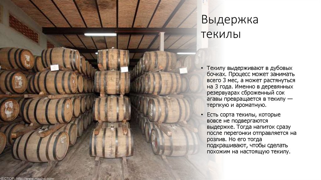 Выдержка текилы