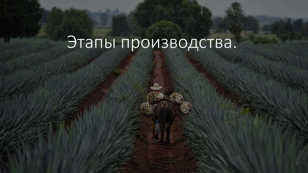 Этапы производства. 