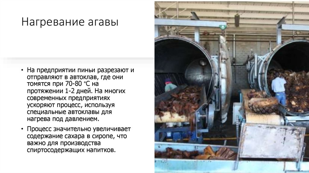 Нагревание агавы