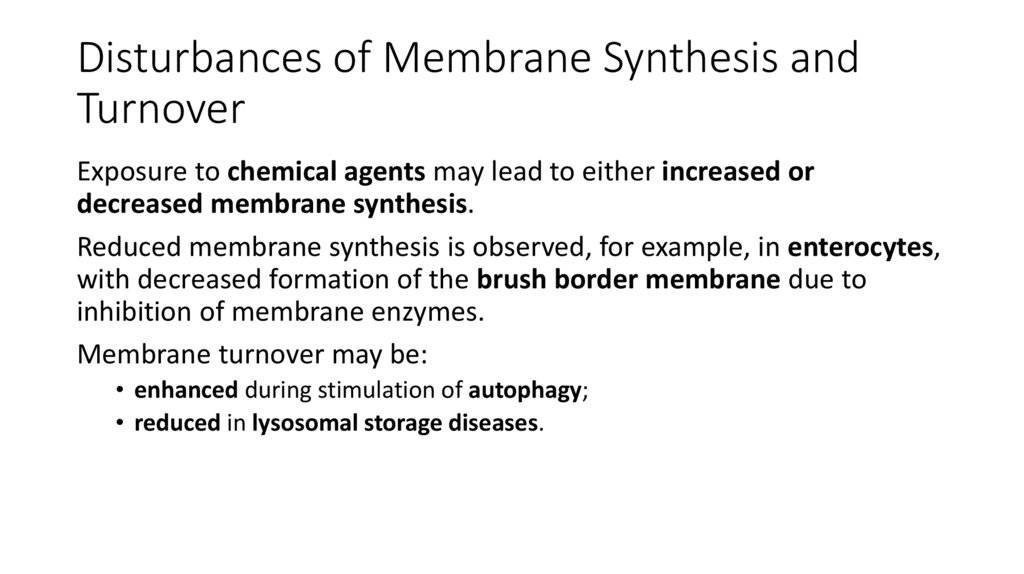 Disturbances of Membrane Synthesis and Turnover