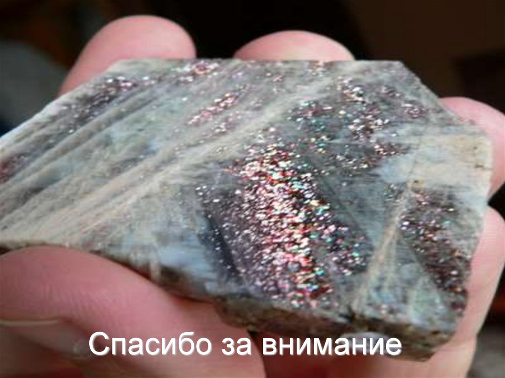 Спасибо за внимание