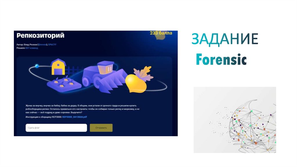 ЗАДАНИЕ Forensic
