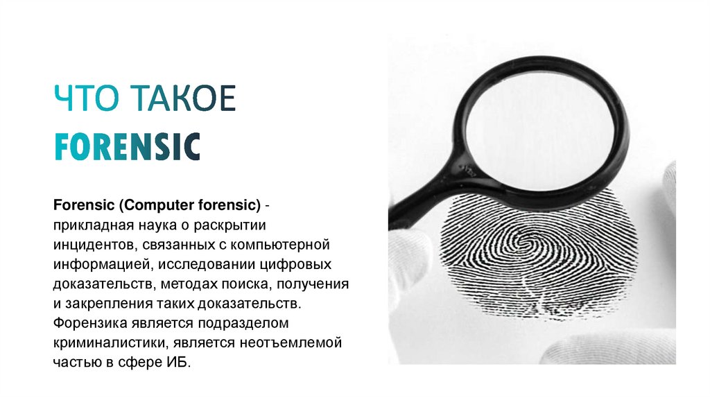 ЧТО ТАКОЕ FORENSIC