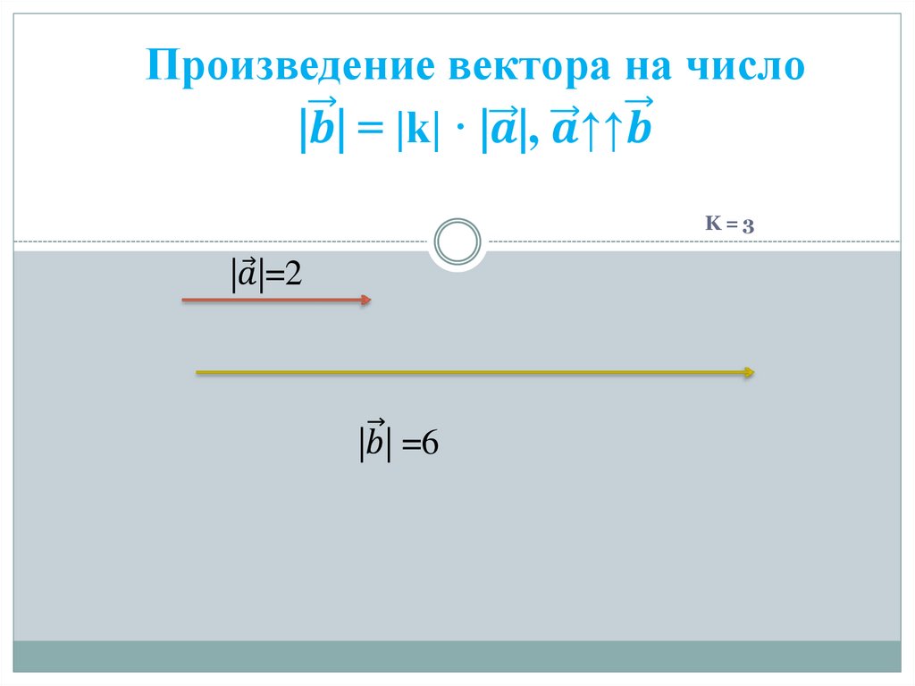 Произведение вектора на число |b ⃗| = |k| · |a ⃗|, a ⃗↑↑b ⃗