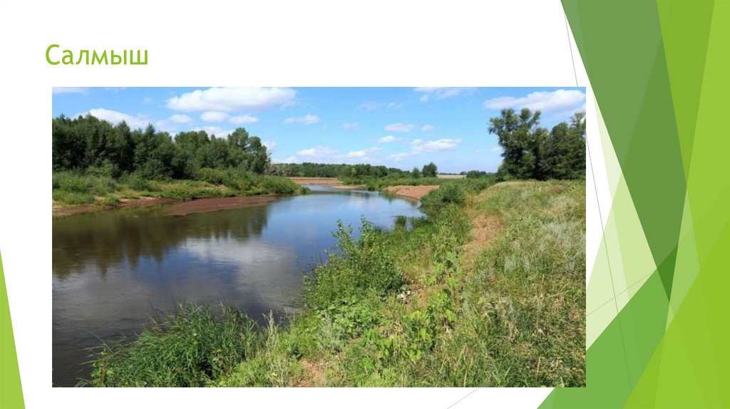 Салмыш