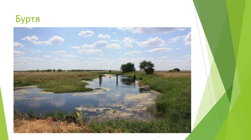 Буртя
