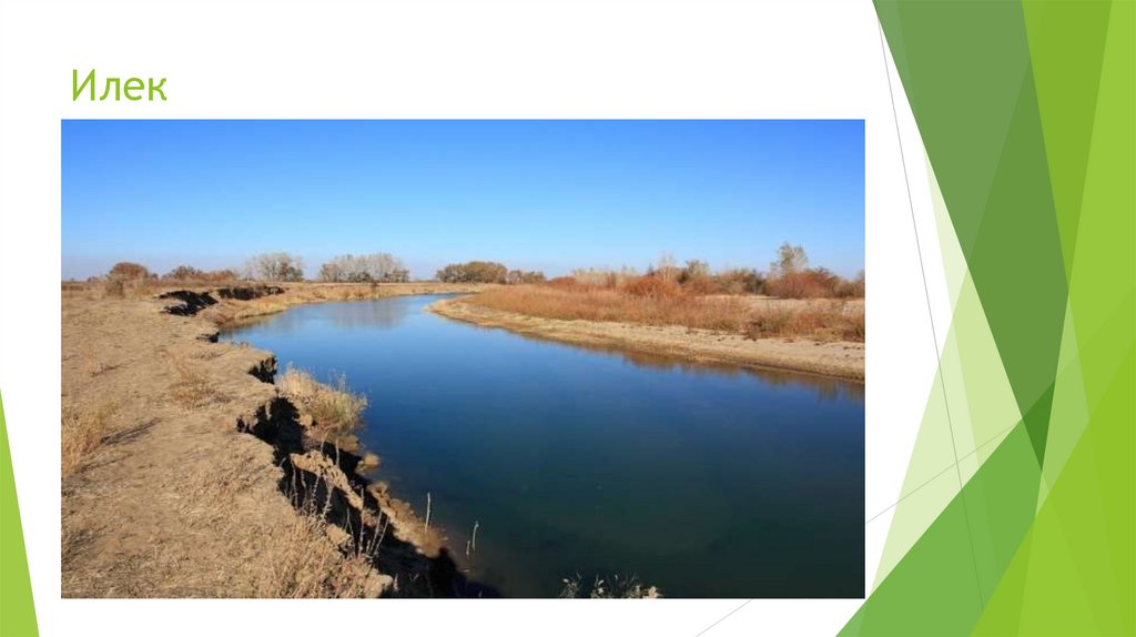 Илек