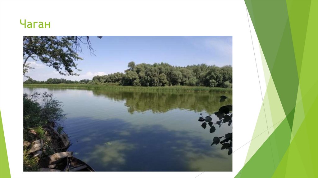 Чаган