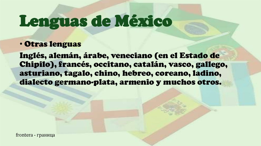 Lenguas de México