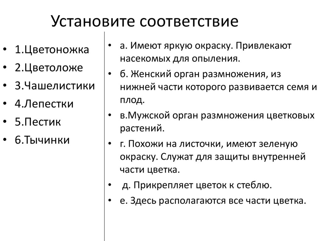 Установите соответствие