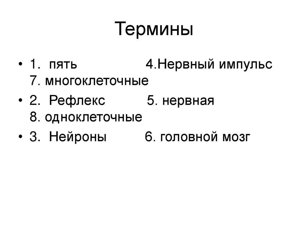 Термины