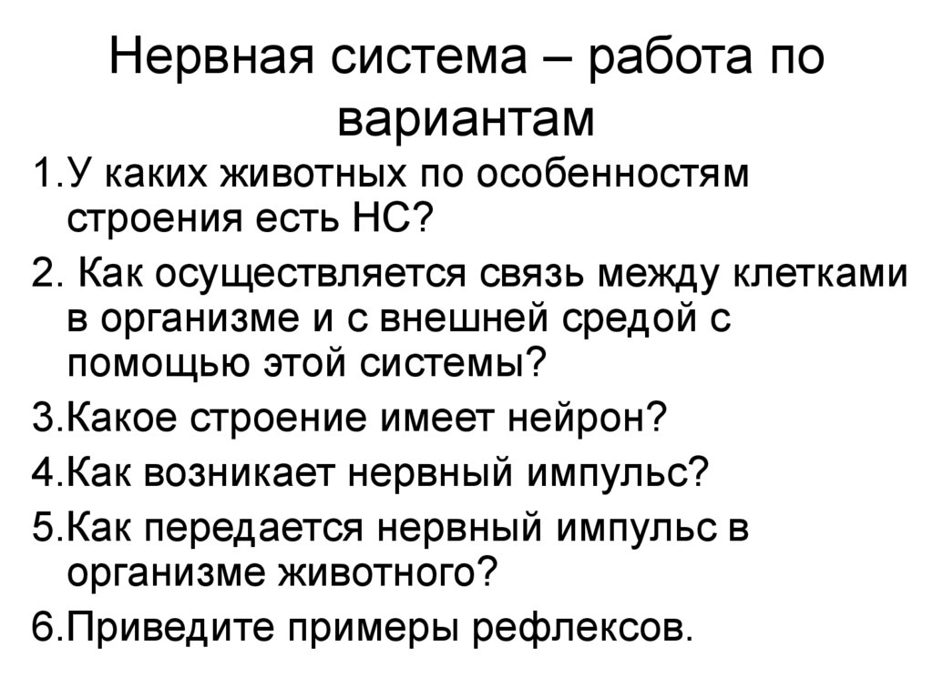 Нервная система – работа по вариантам