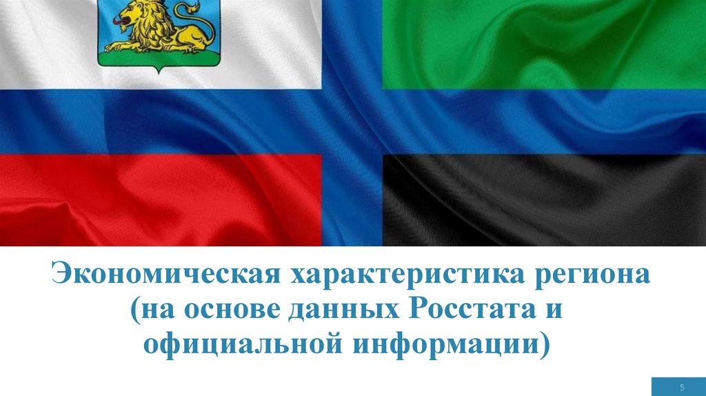Экономическая характеристика региона (на основе данных Росстата и официальной информации)
