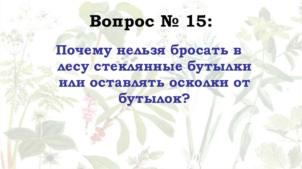 Вопрос № 15: