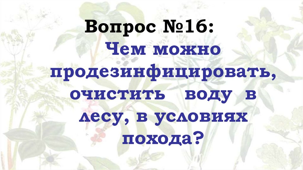 Вопрос №16: Чем можно продезинфицировать, очистить воду в лесу, в условиях похода?