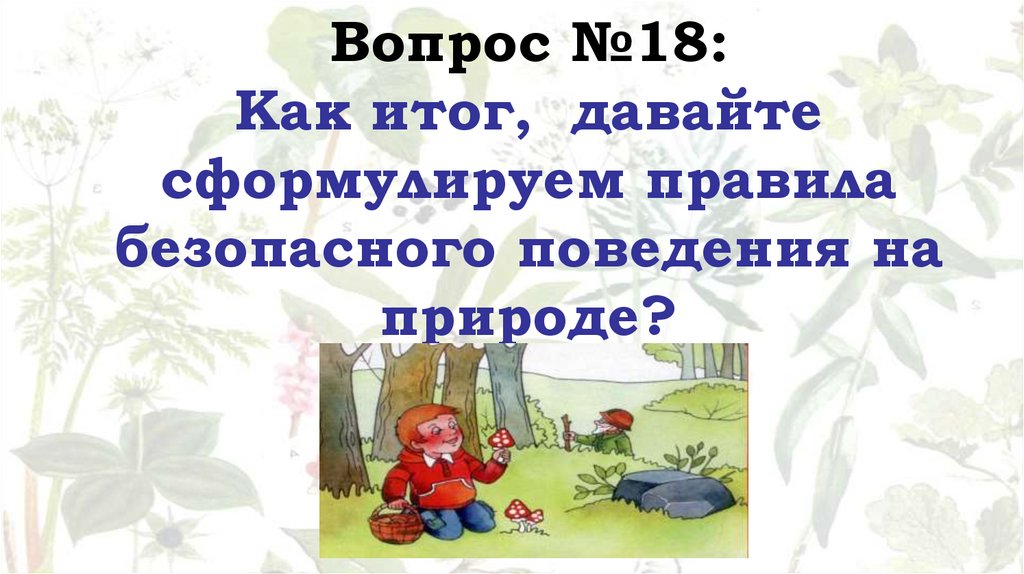 Вопрос №18: Как итог, давайте сформулируем правила безопасного поведения на природе?