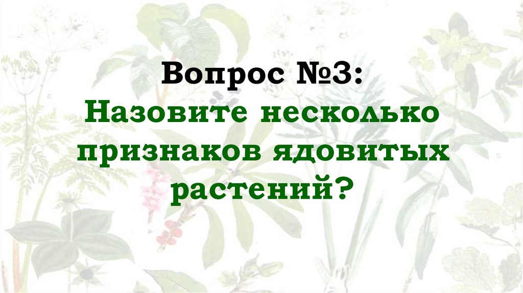 Вопрос №3: Назовите несколько признаков ядовитых растений?