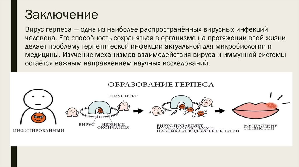 Заключение