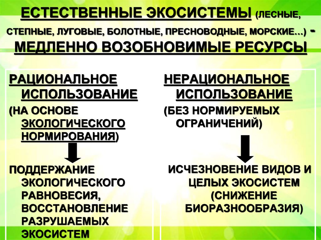 ЕСТЕСТВЕННЫЕ ЭКОСИСТЕМЫ (ЛЕСНЫЕ, СТЕПНЫЕ, ЛУГОВЫЕ, БОЛОТНЫЕ, ПРЕСНОВОДНЫЕ, МОРСКИЕ…) - МЕДЛЕННО ВОЗОБНОВИМЫЕ РЕСУРСЫ
