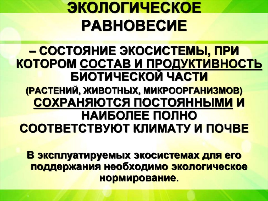 ЭКОЛОГИЧЕСКОЕ РАВНОВЕСИЕ