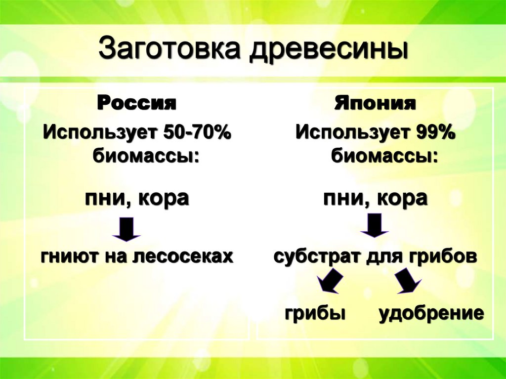 Заготовка древесины