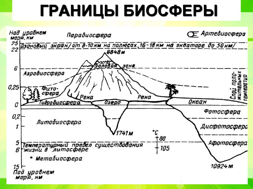 ГРАНИЦЫ БИОСФЕРЫ