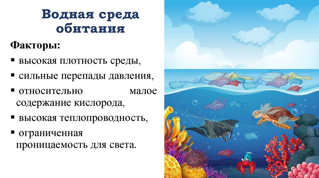 Водная среда обитания