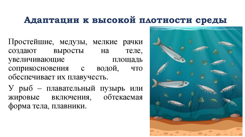 Адаптации к высокой плотности среды
