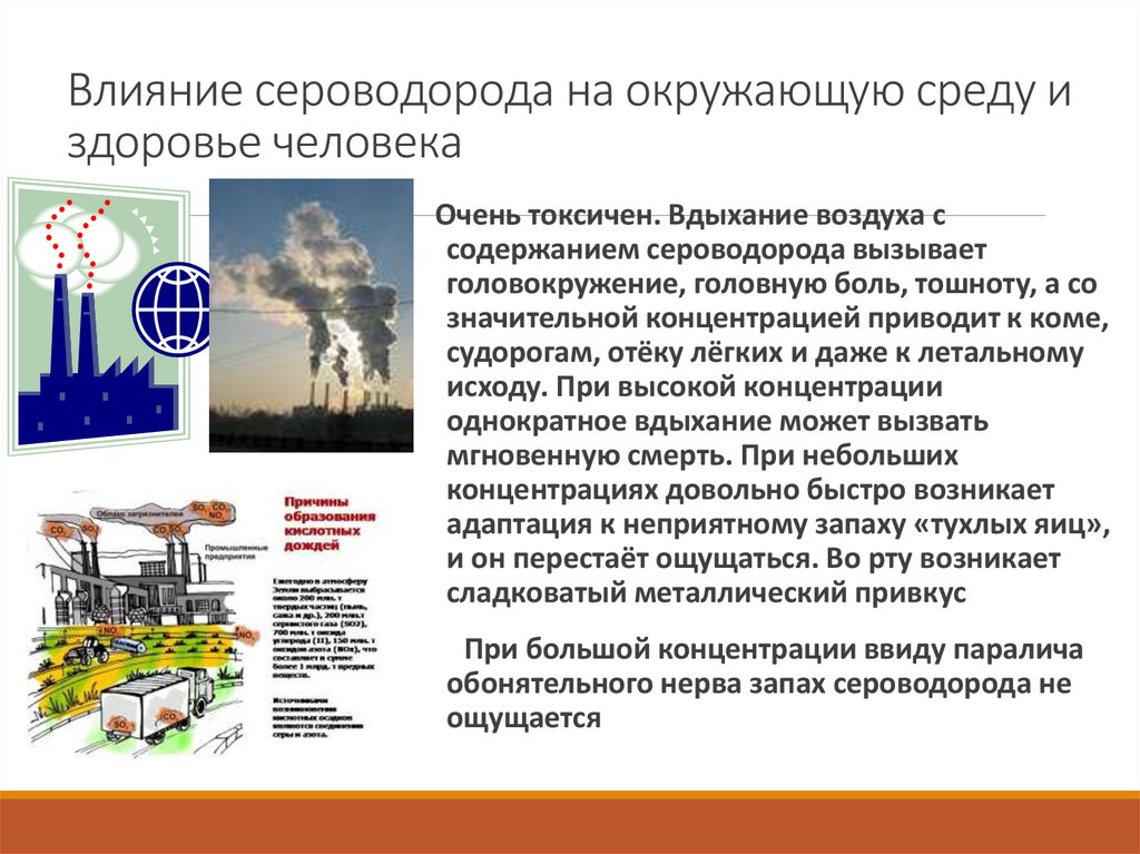 Влияние сероводорода на окружающую среду и здоровье человека