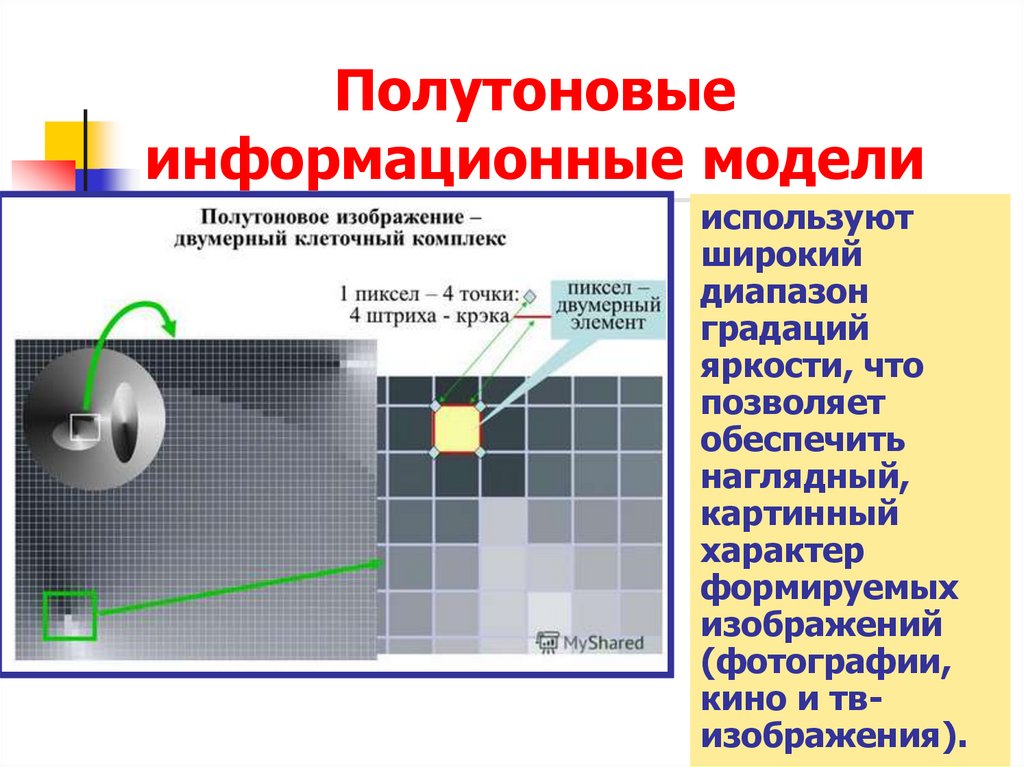 Полутоновые информационные модели