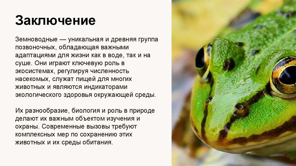 Заключение