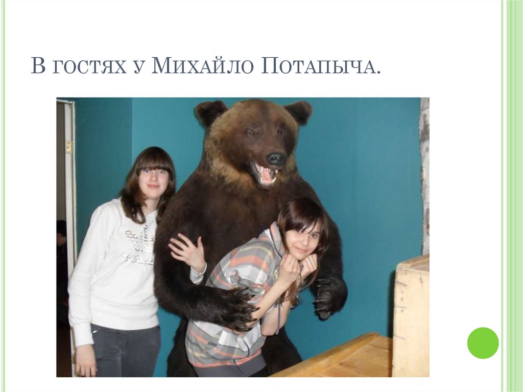 В гостях у Михайло Потапыча.